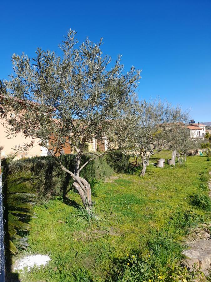 Agriturismo La Stragola Nicosia Bagian luar foto
