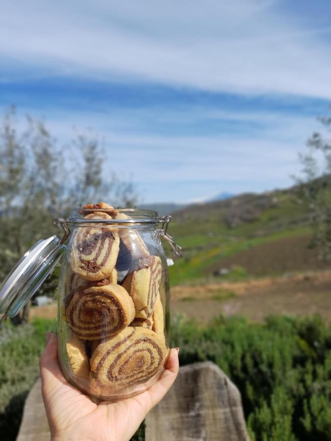 Agriturismo La Stragola Nicosia Bagian luar foto
