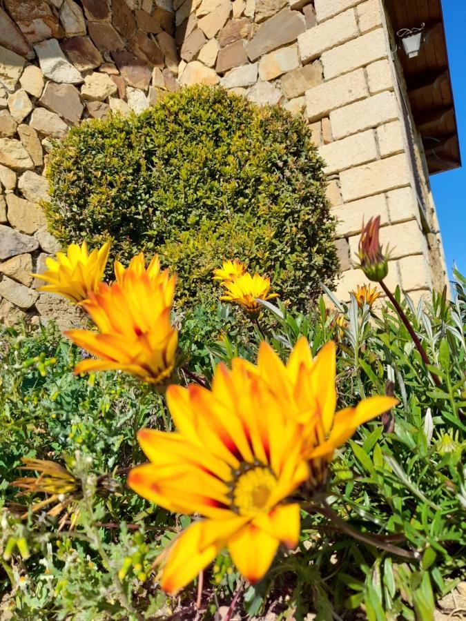 Agriturismo La Stragola Nicosia Bagian luar foto