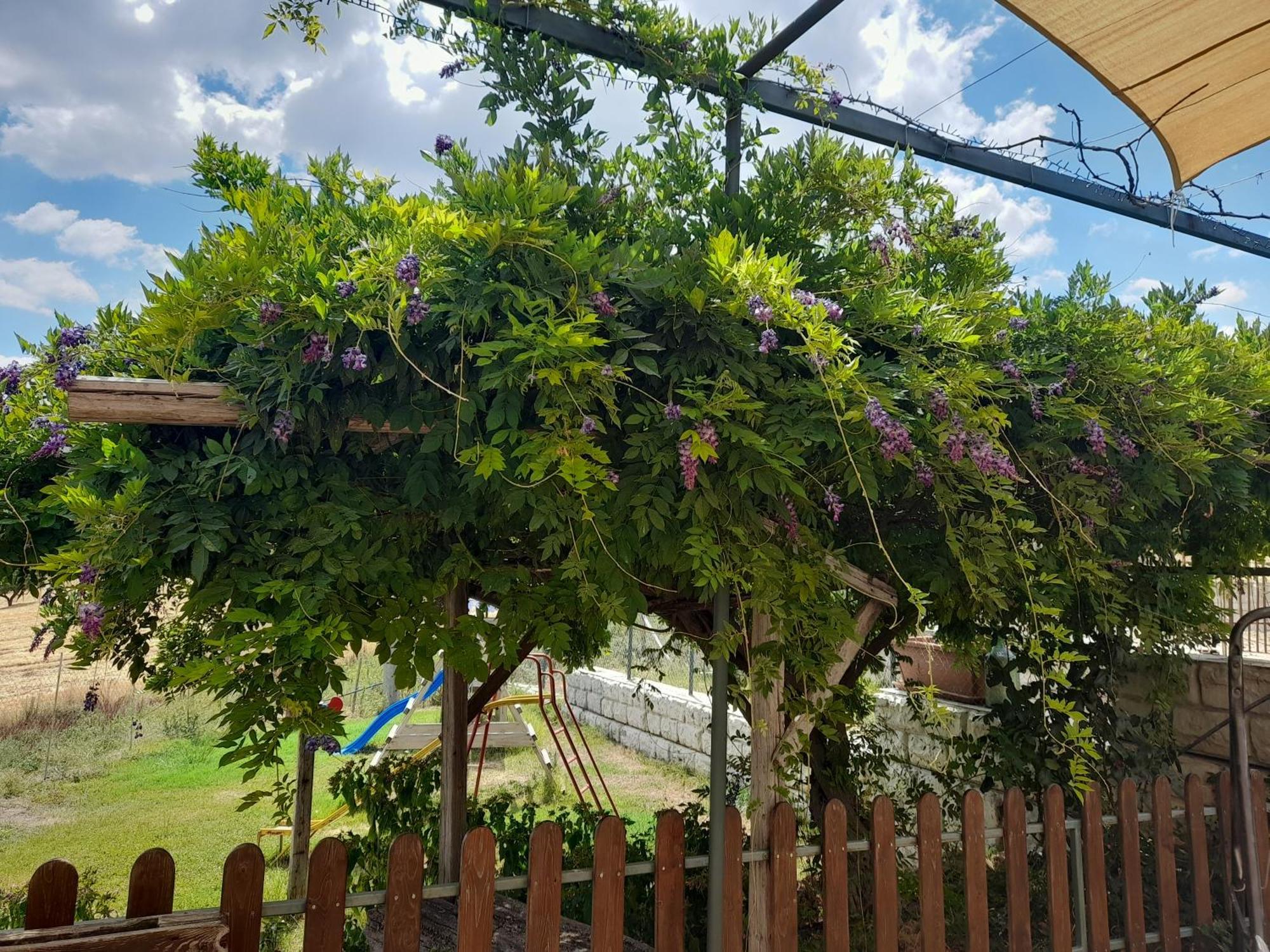 Agriturismo La Stragola Nicosia Bagian luar foto